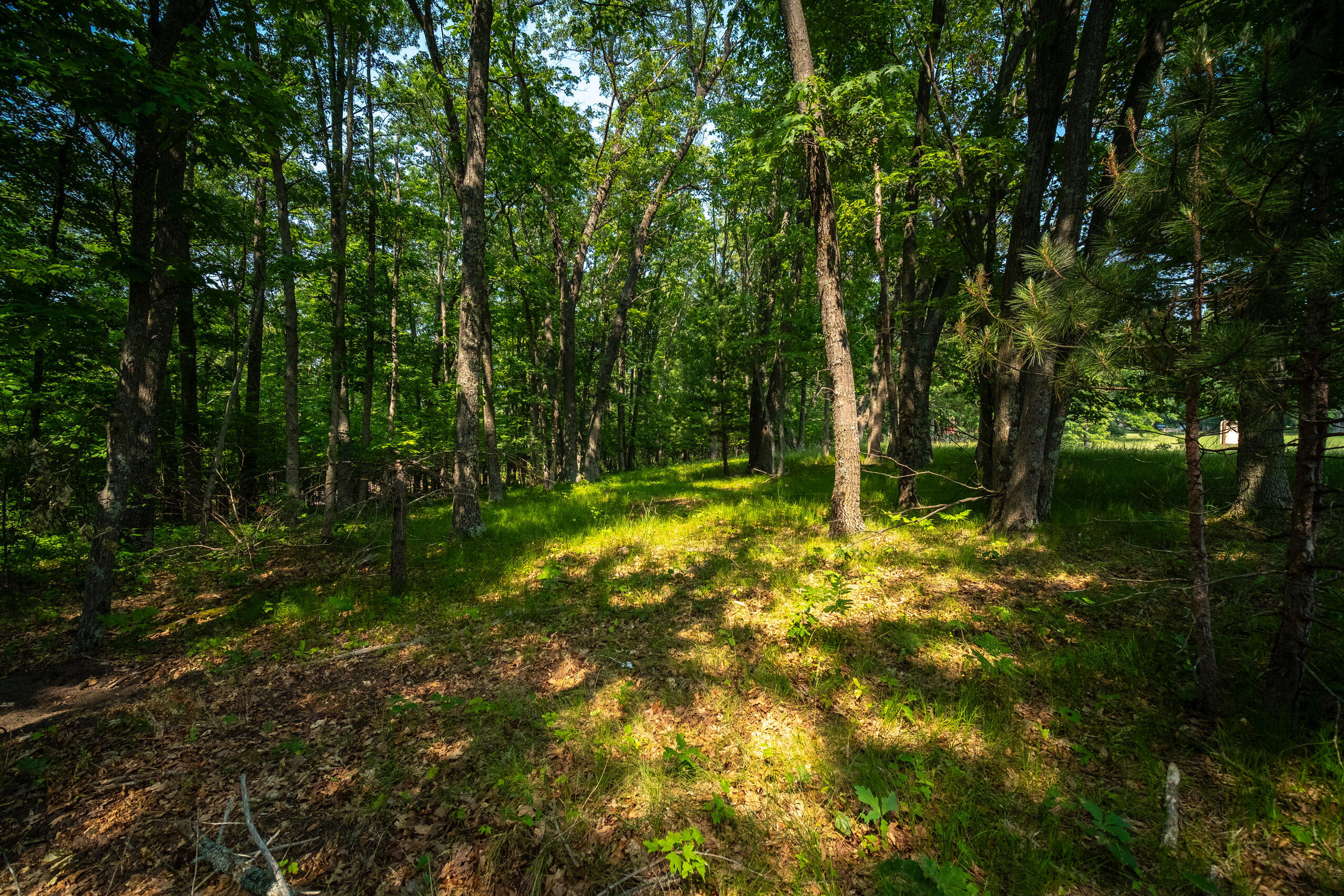 8161 Hunters Ridge Drive Irons, MI 49644 - Photo 21 of 37 Additional Views
