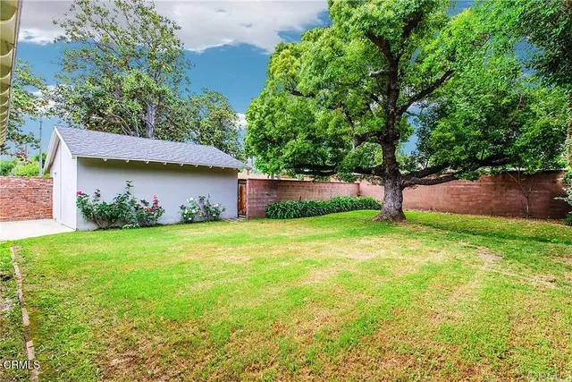 a backyard of a house with plants and large tree