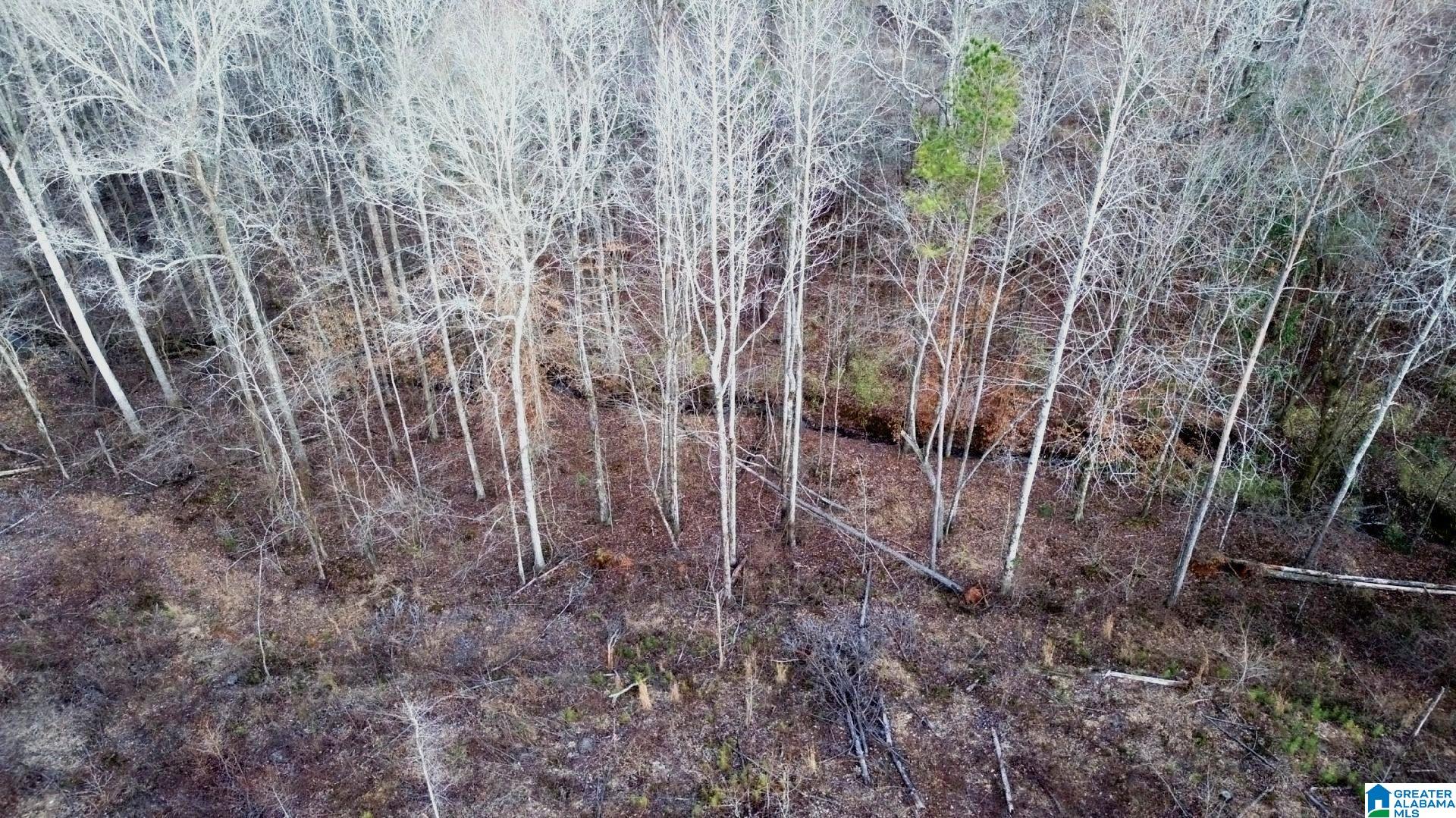 Walker Road, Unit 103 5 Lineville, AL 36266 - Photo 21 of 26