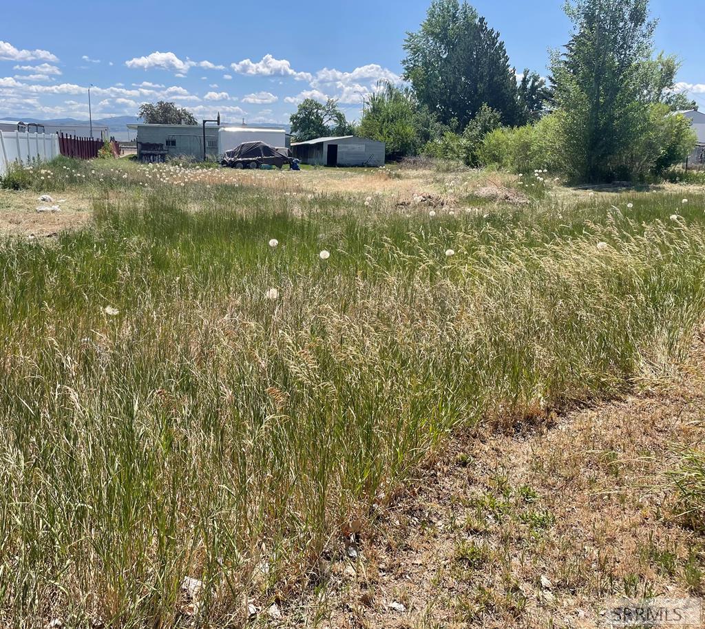 370 North State Street Shelley, ID 83274 - Photo 66 of 66 Back Field View