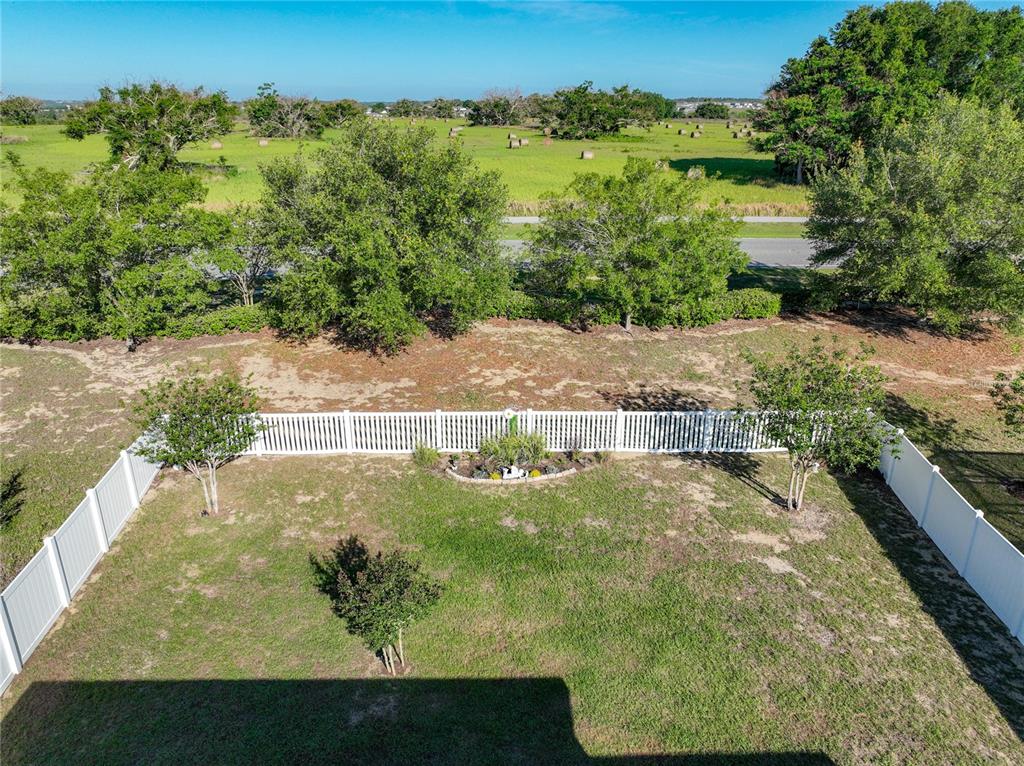 817 Laurel View Way Groveland, FL 34736 - Photo 13 of 55