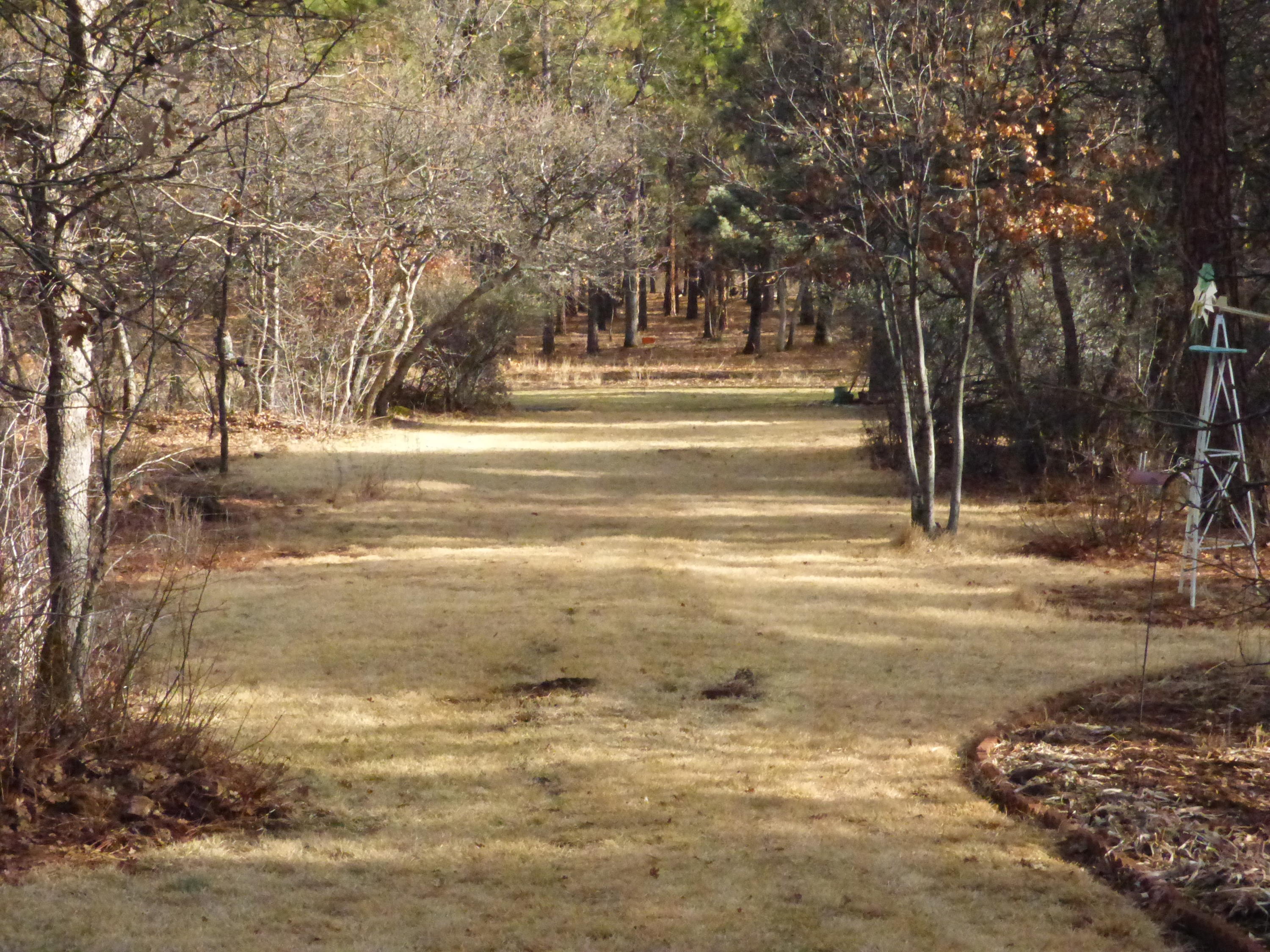200 Red Rock Road McArthur, CA 96056 - Photo 4 of 14 First Hole
