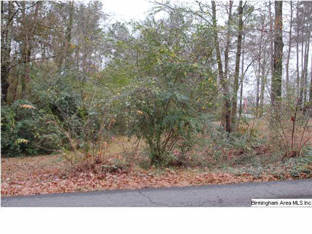 Chalkville Road North Trussville, AL 35173 - Photo 1 of 2