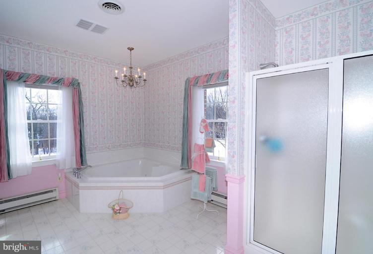 3940 Sells Mill Road Taneytown, MD 21787 - Photo 20 of 28 Master Bath #2