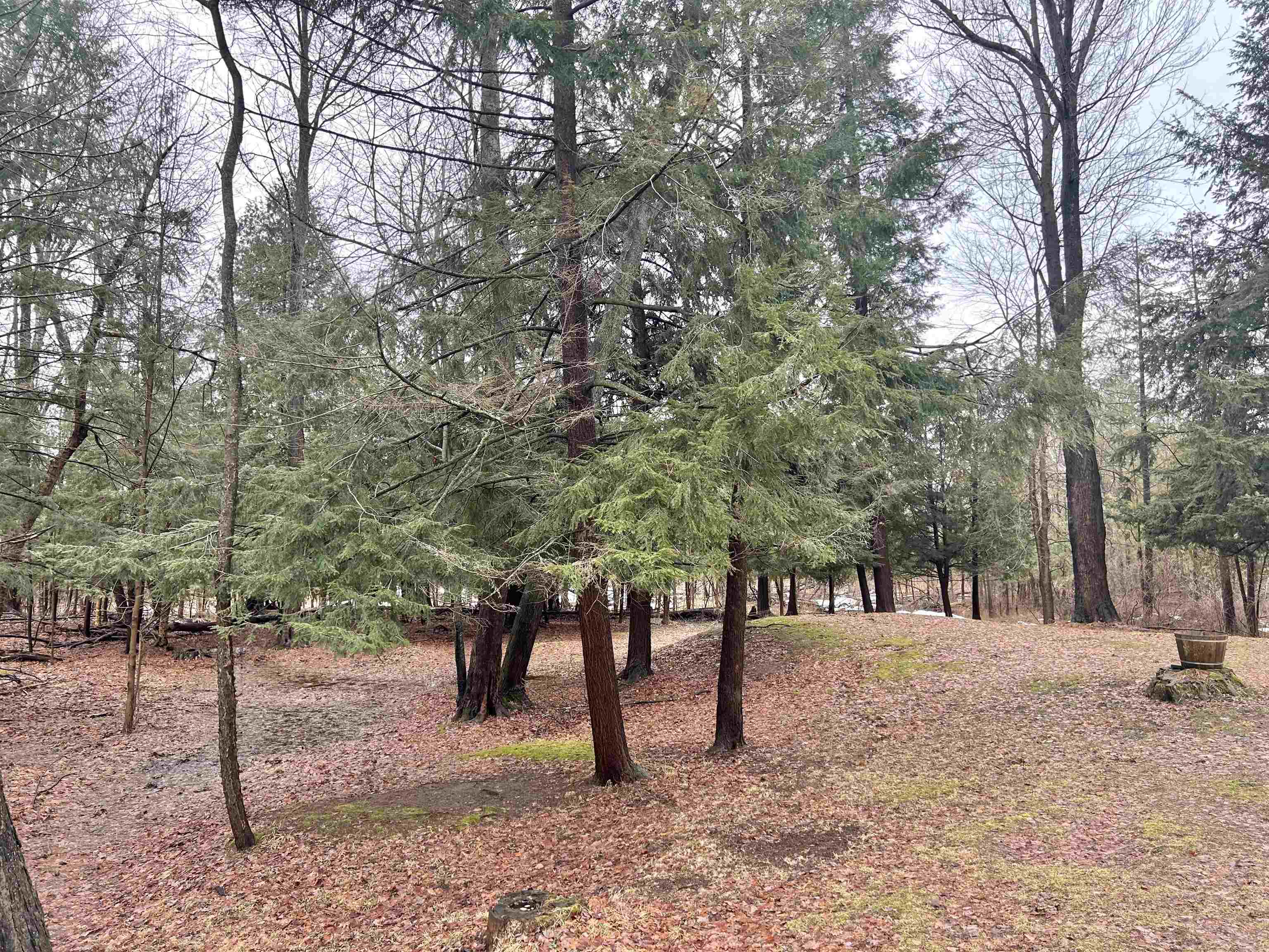 5233 Bunker Hill Road Williamsburg, MI 49690 - Photo 13 of 41
