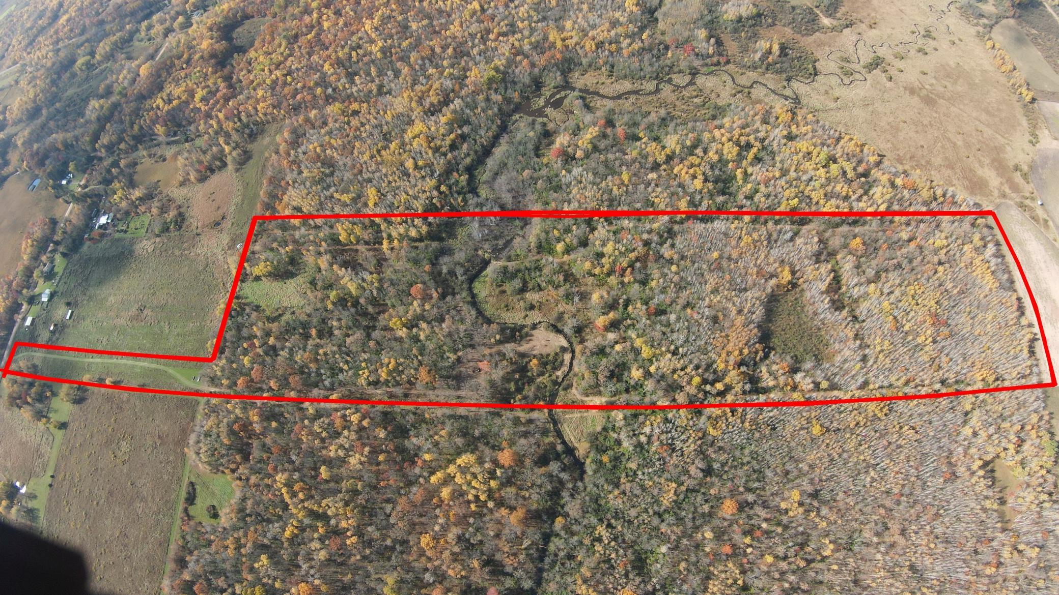 10005 Rice Road Brook Park, MN 55007 - Photo 6 of 8