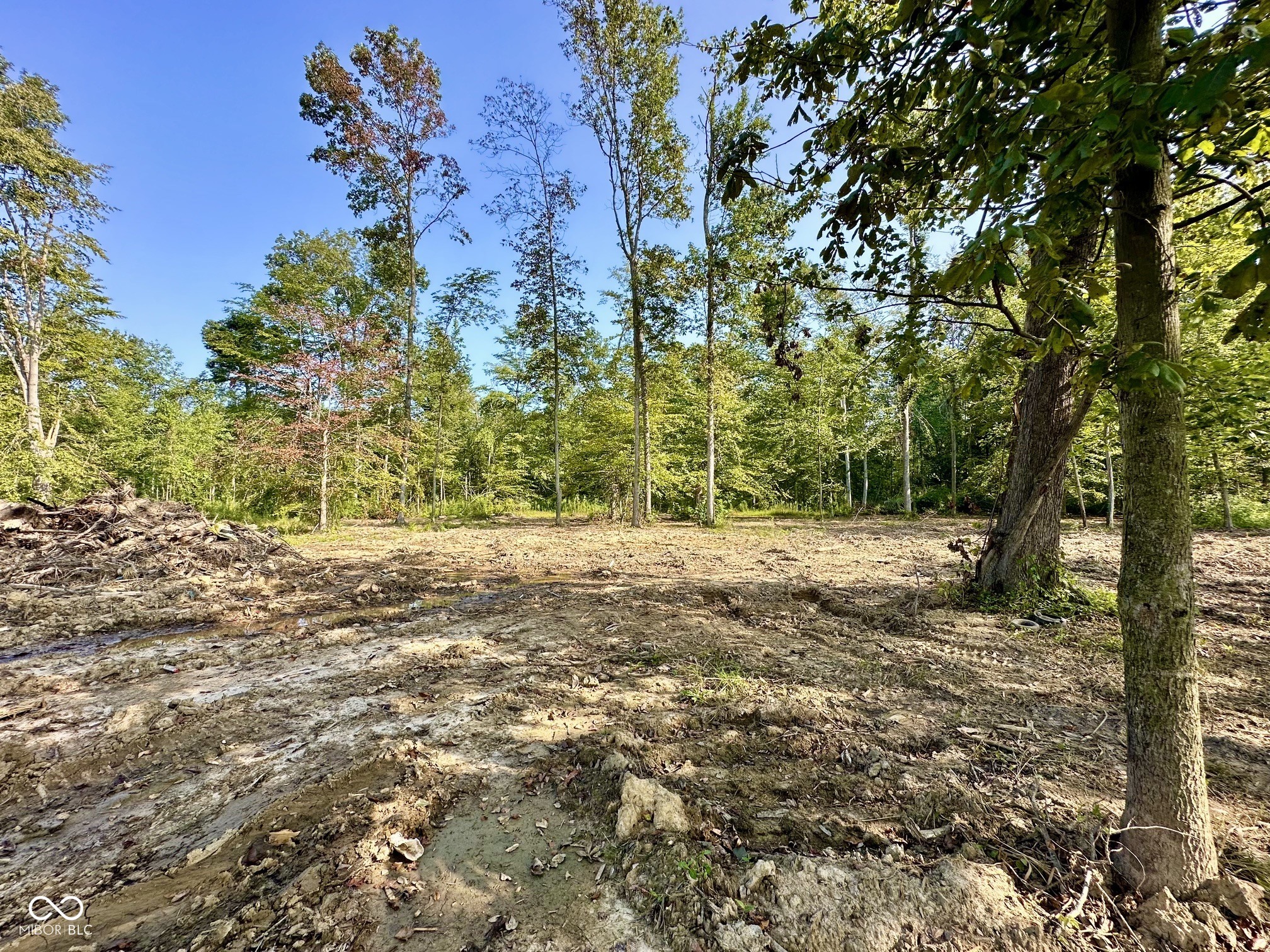 Tract A West Private Rd 775 South Commiskey, IN 47227 - Photo 11 of 19 Gallery Image 11