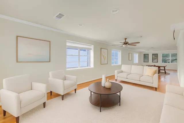 a living room with furniture and a potted plant