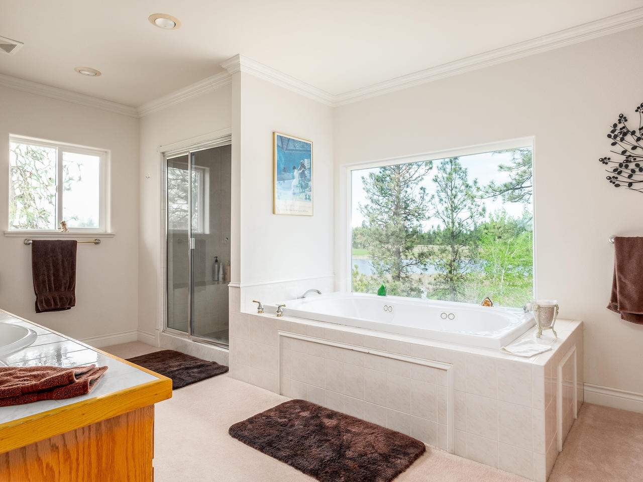 29308 South Boston Road Cheney, WA 99004 - Photo 13 of 20