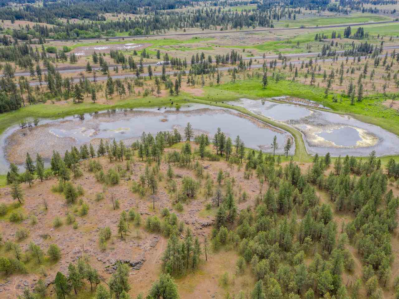 29308 South Boston Road Cheney, WA 99004 - Photo 19 of 20