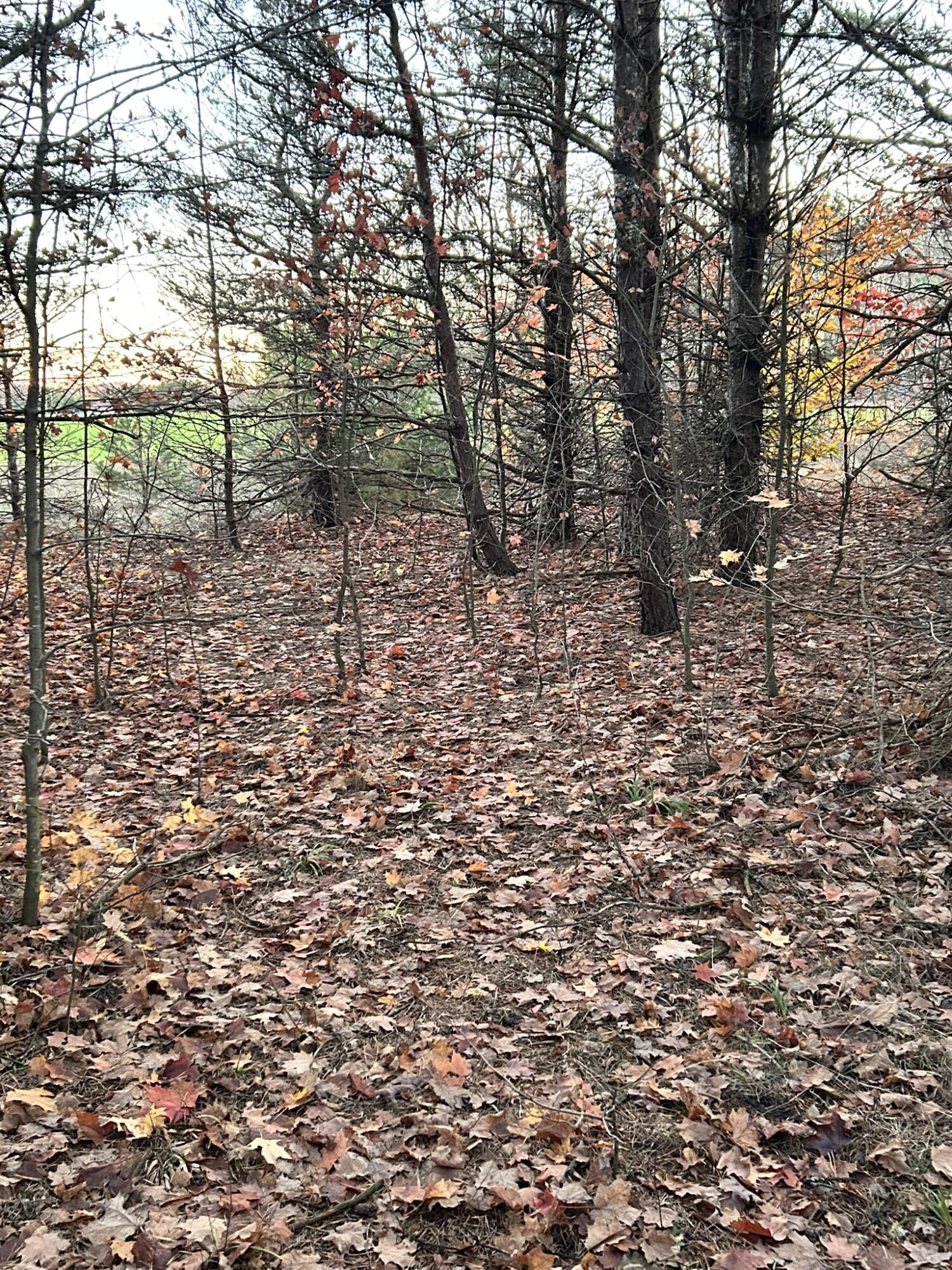 2554 Lee Derrer Road Mancelona, MI 49659 - Photo 20 of 27 IMG_3221