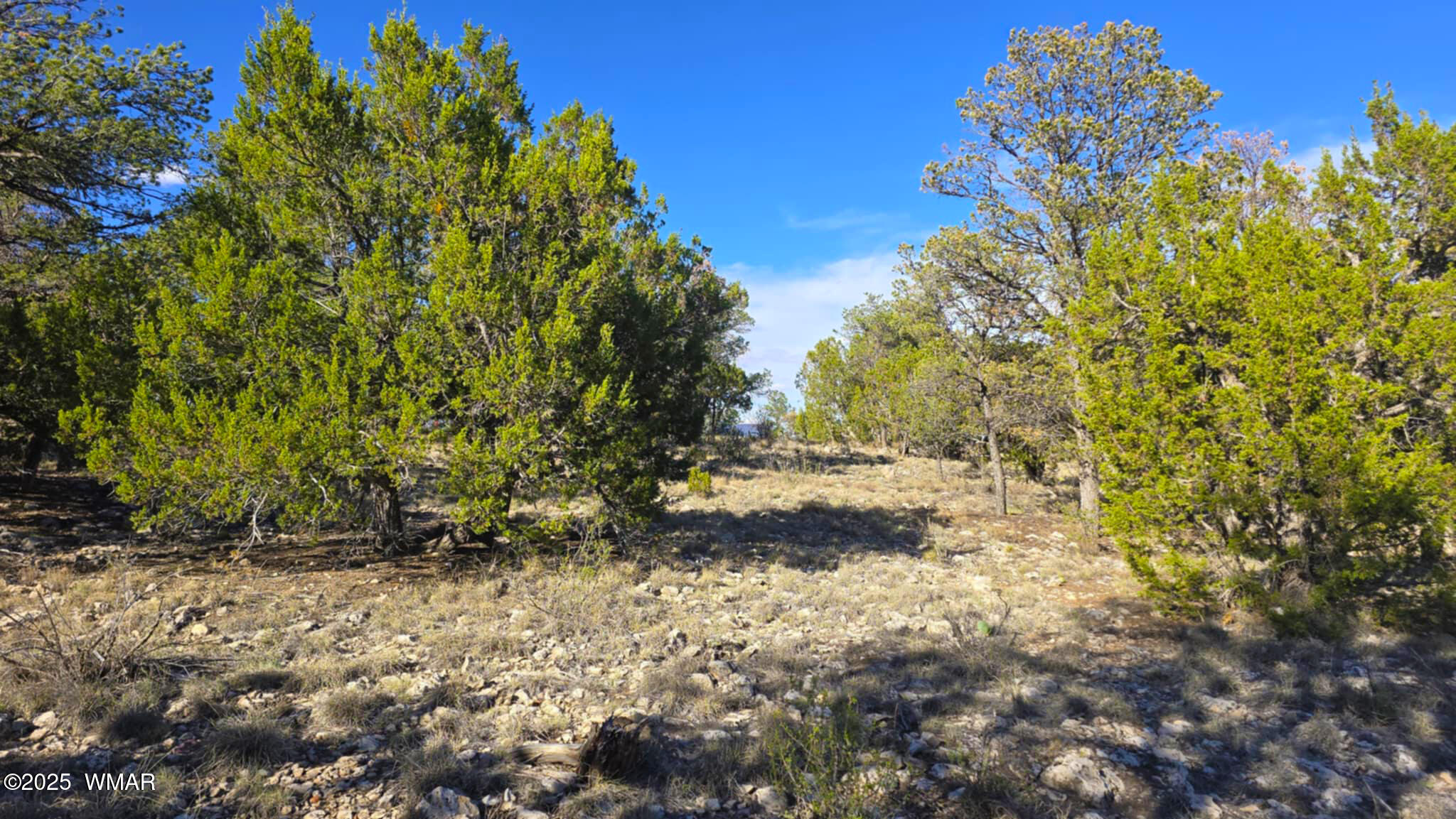 2947 East Lookout Lane Overgaard, AZ 85933 - Photo 11 of 12 ccff5259-4722-4bda-b2eb-2f3fdb839bef