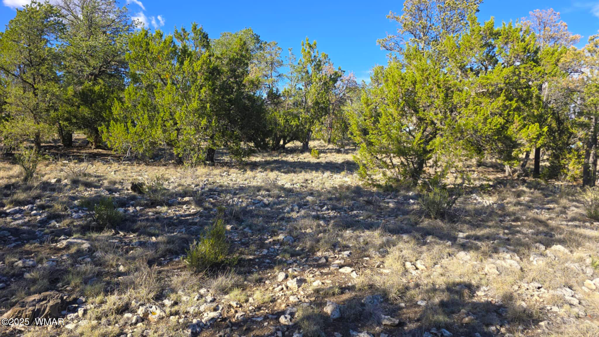 2947 East Lookout Lane Overgaard, AZ 85933 - Photo 12 of 12 d731778a-4da4-4665-bdfd-d5ec1f0fe7af