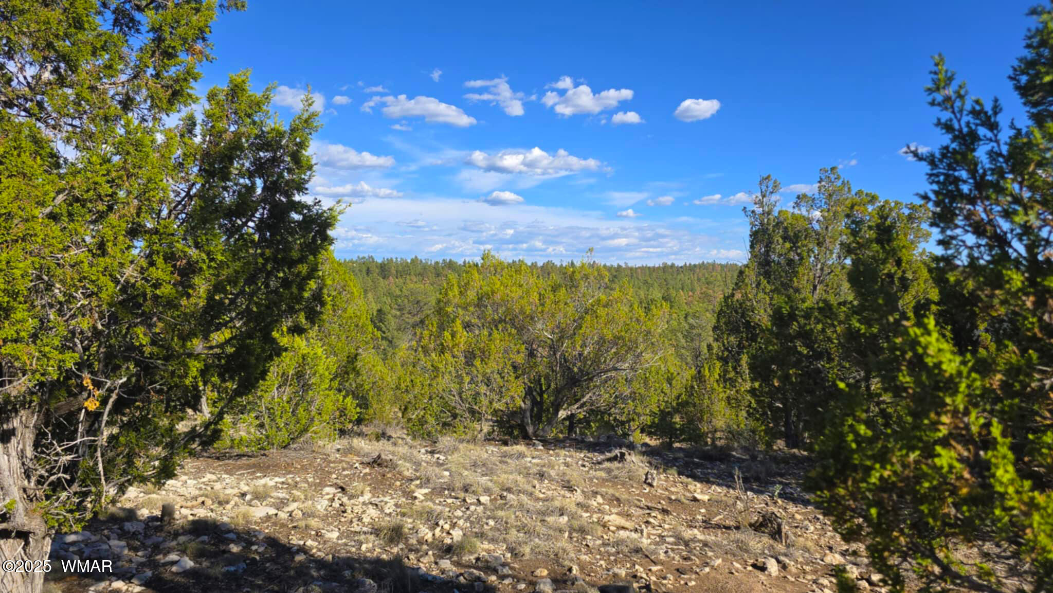 2947 East Lookout Lane Overgaard, AZ 85933 - Photo 2 of 12 2dd9c1a0-f573-4d5c-82f9-38841833b367
