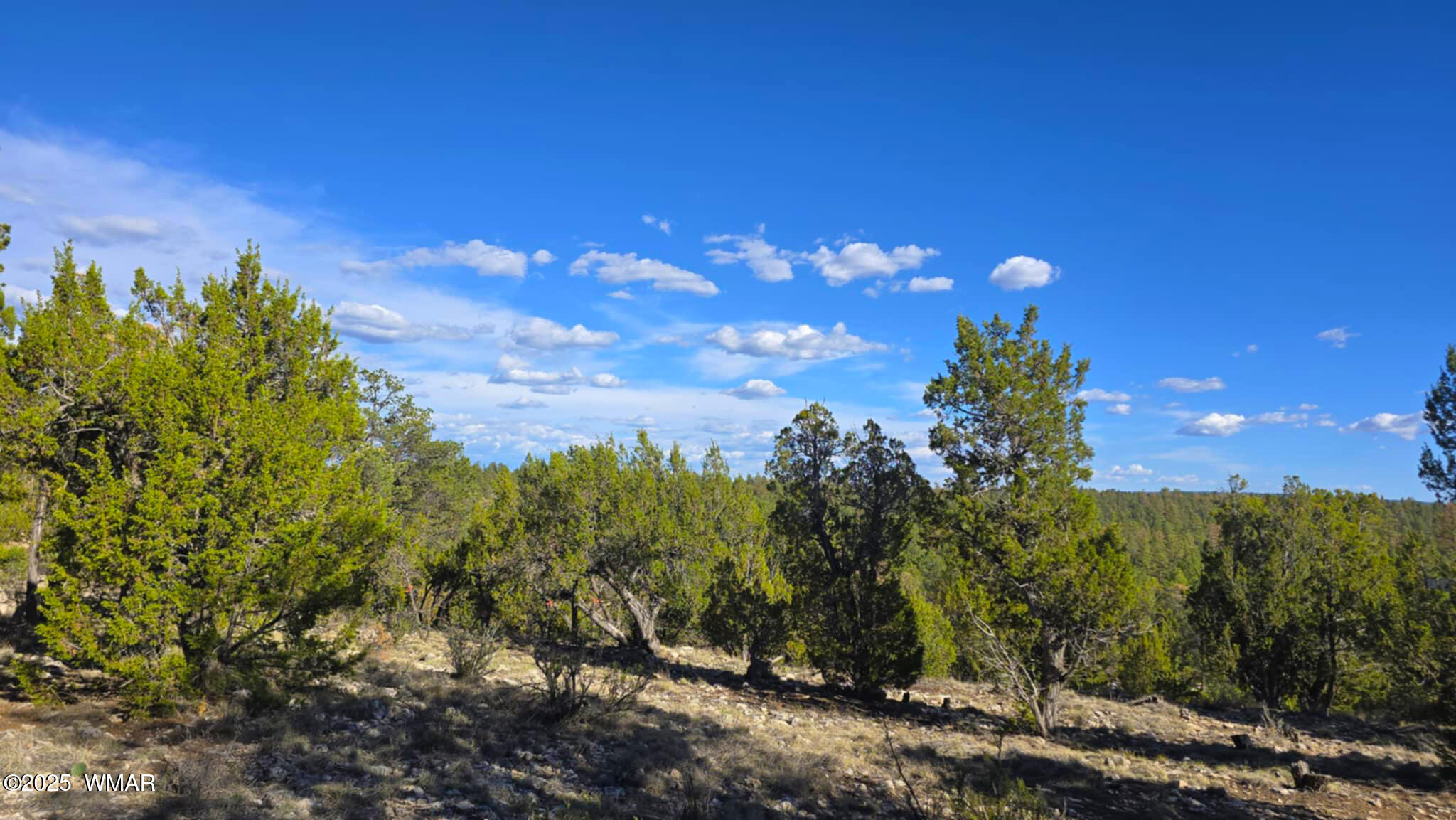 2947 East Lookout Lane Overgaard, AZ 85933 - Photo 5 of 12 8e6aec7c-71c3-4496-aa09-41e3f8b56b25