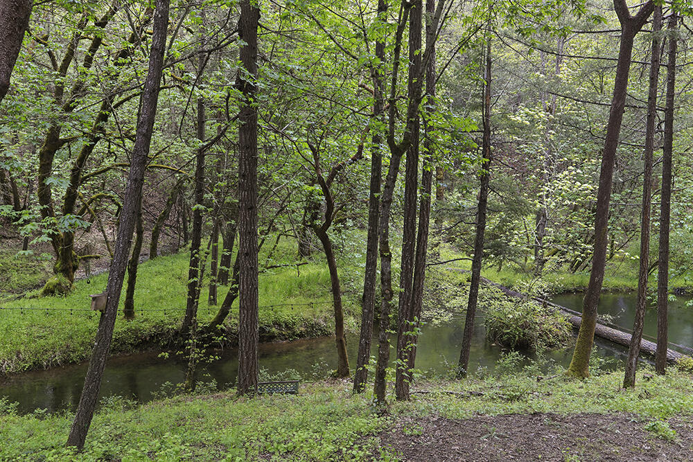 3435 Wards Creek Road Rogue River, OR 97537 - Photo 41 of 61 Seasonal Pond off the Deck