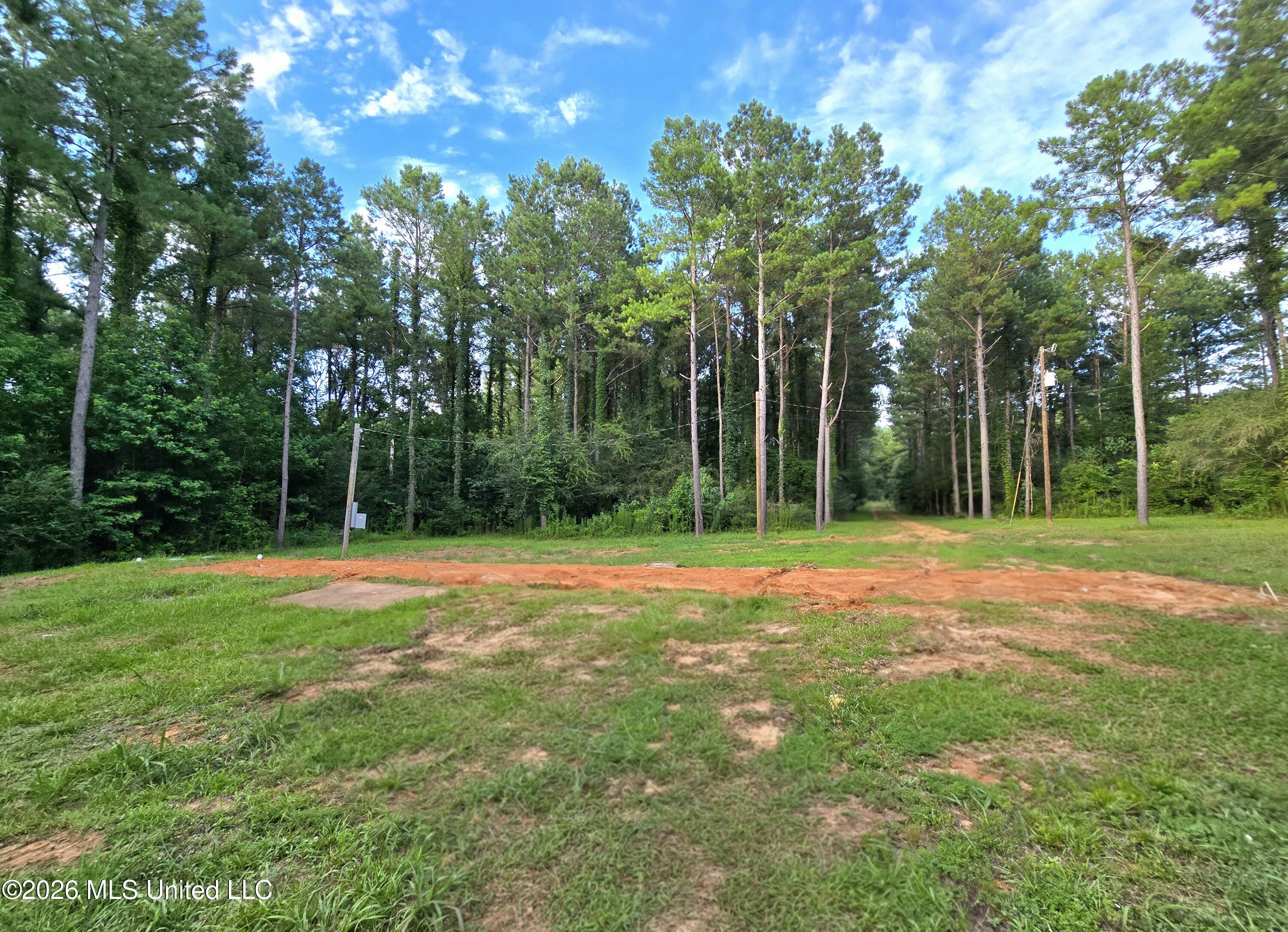 1189 Shady Grove Road Osyka, MS 39657 - Photo 14 of 27 20260622_183416(1)(1)