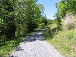 198 Foster Road Rogersville, TN 37857 - Photo 8 of 9 Photo 8