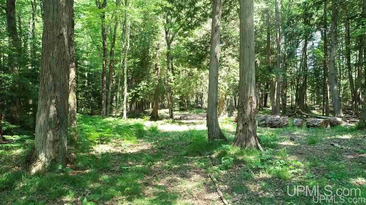 5109 N River Road Manistique, MI 49854 - Photo 43 of 46