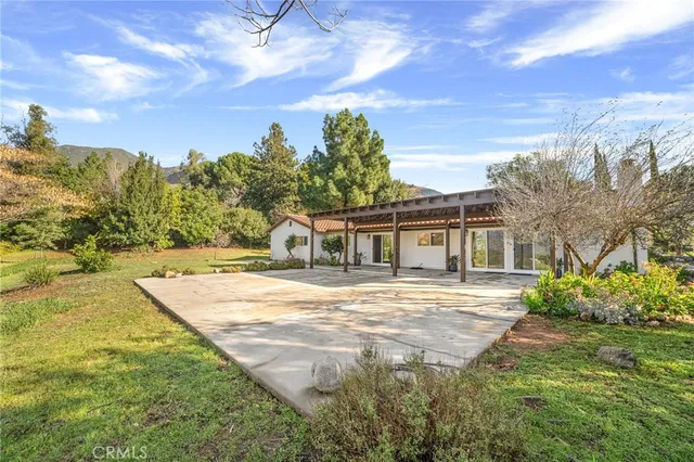 a view of a park with large trees
