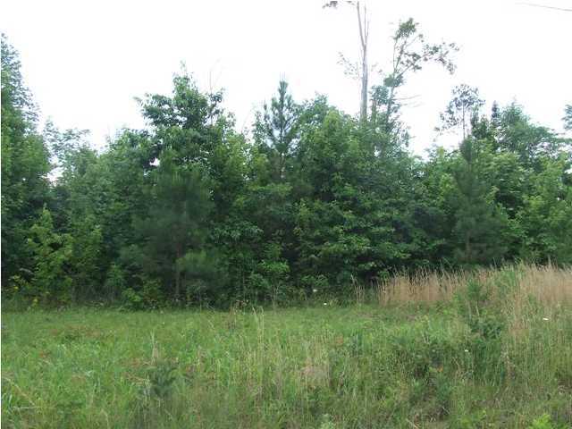 1845 Wheeler Road Dunlap, TN 37327 - Photo 5 of 6 Additional Photo