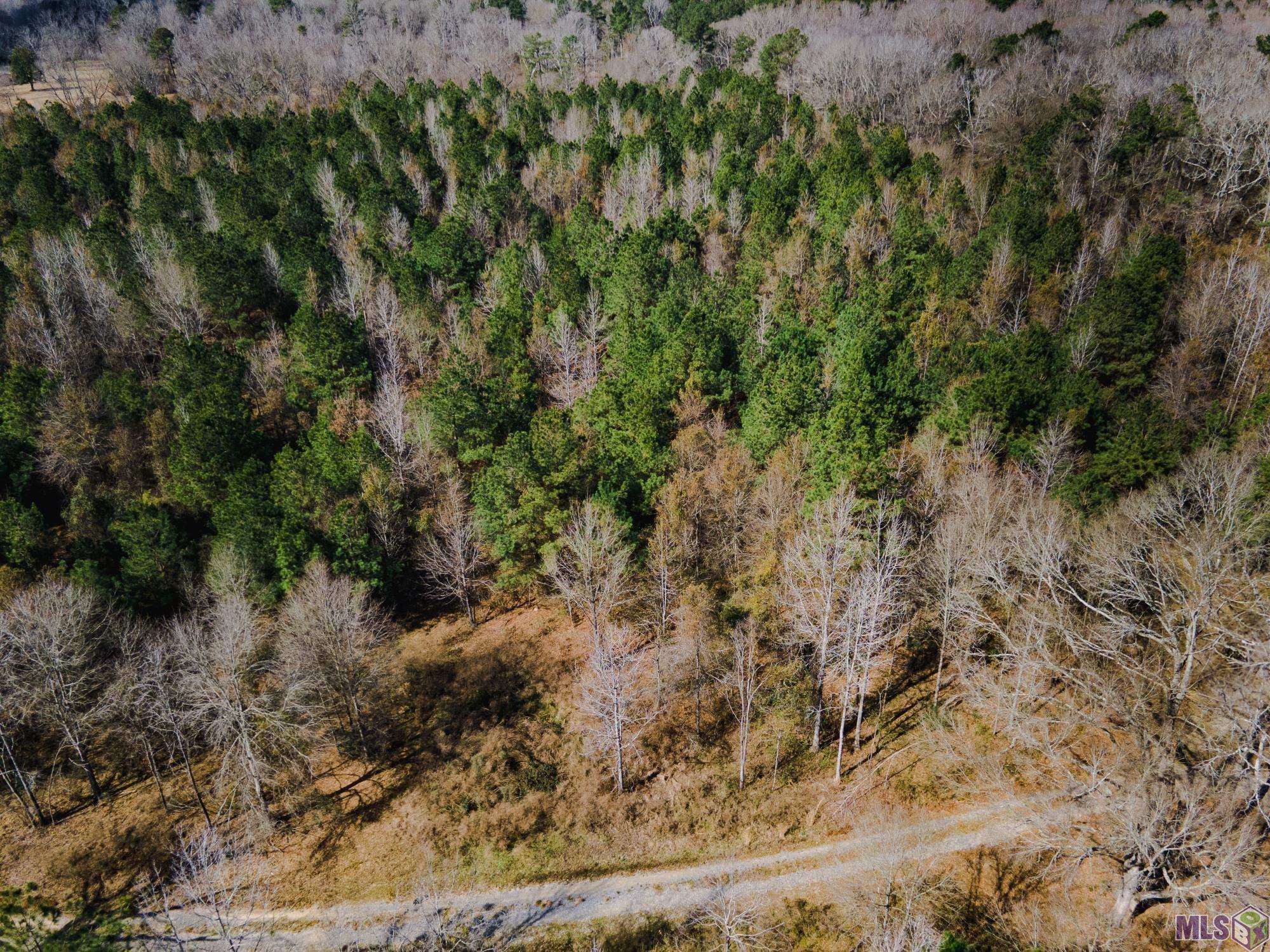 5905 Line Road Ethel, LA 70730 - Photo 2 of 5