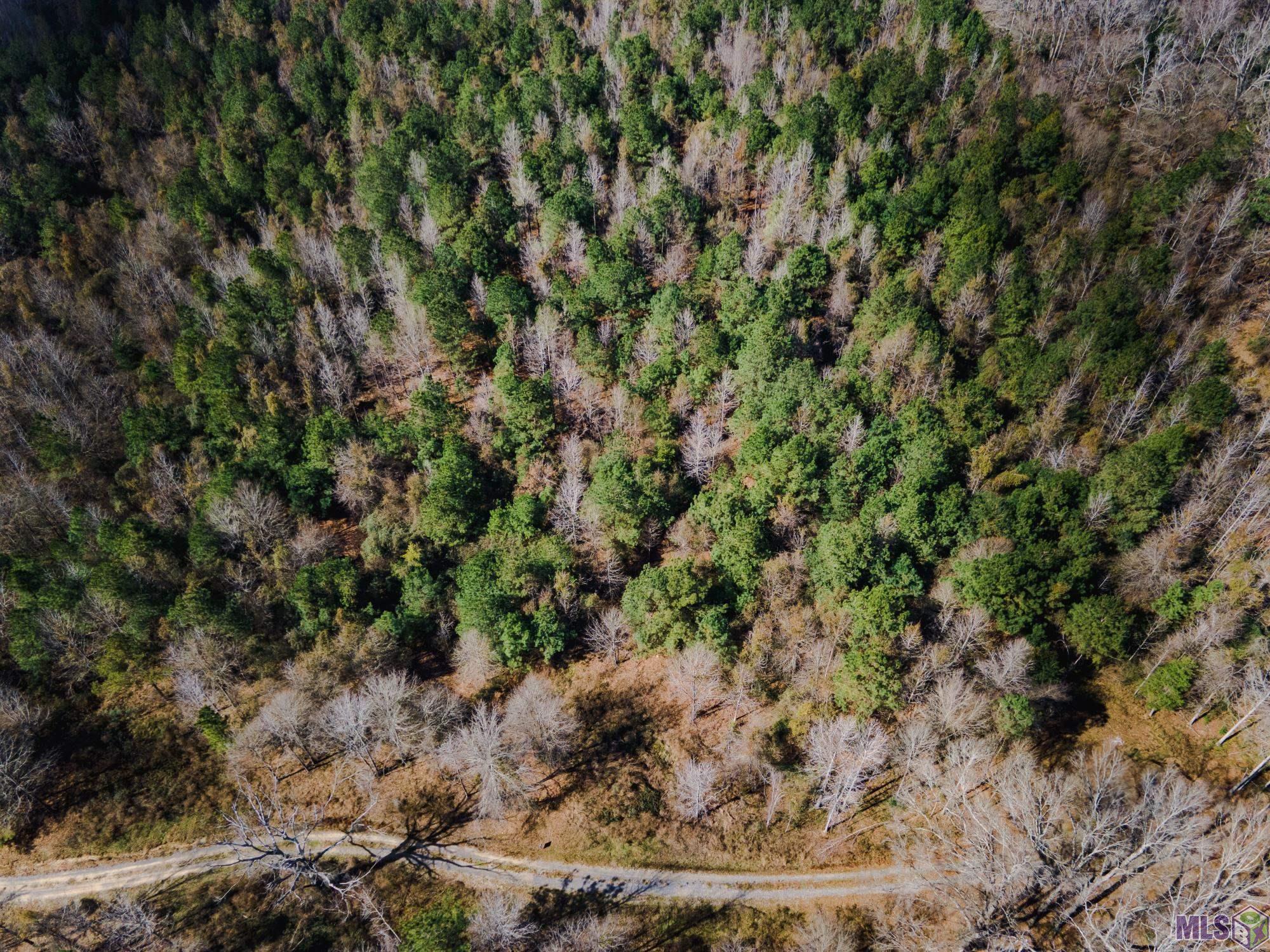 5905 Line Road Ethel, LA 70730 - Photo 4 of 5