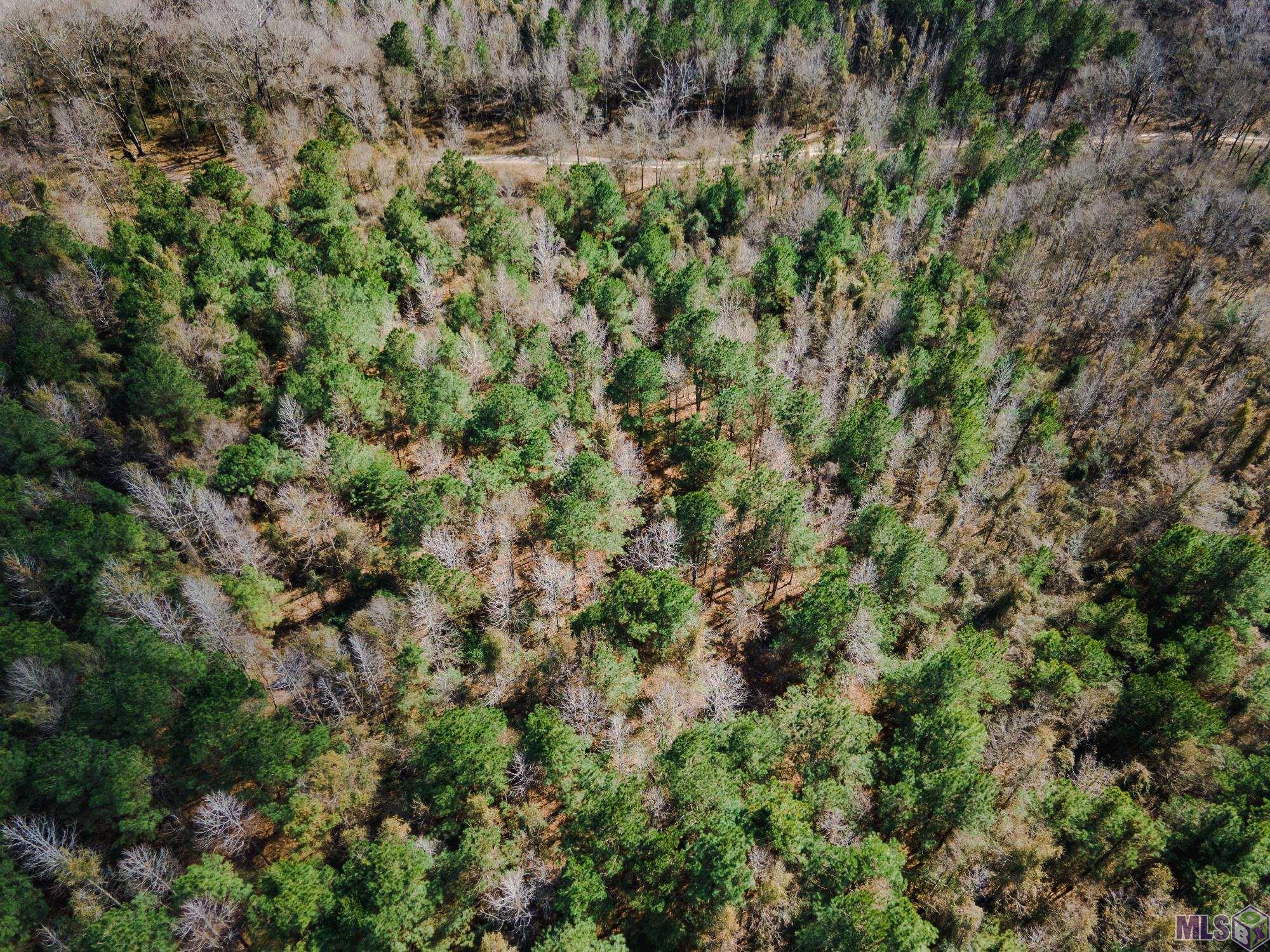 5905 Line Road Ethel, LA 70730 - Photo 5 of 5