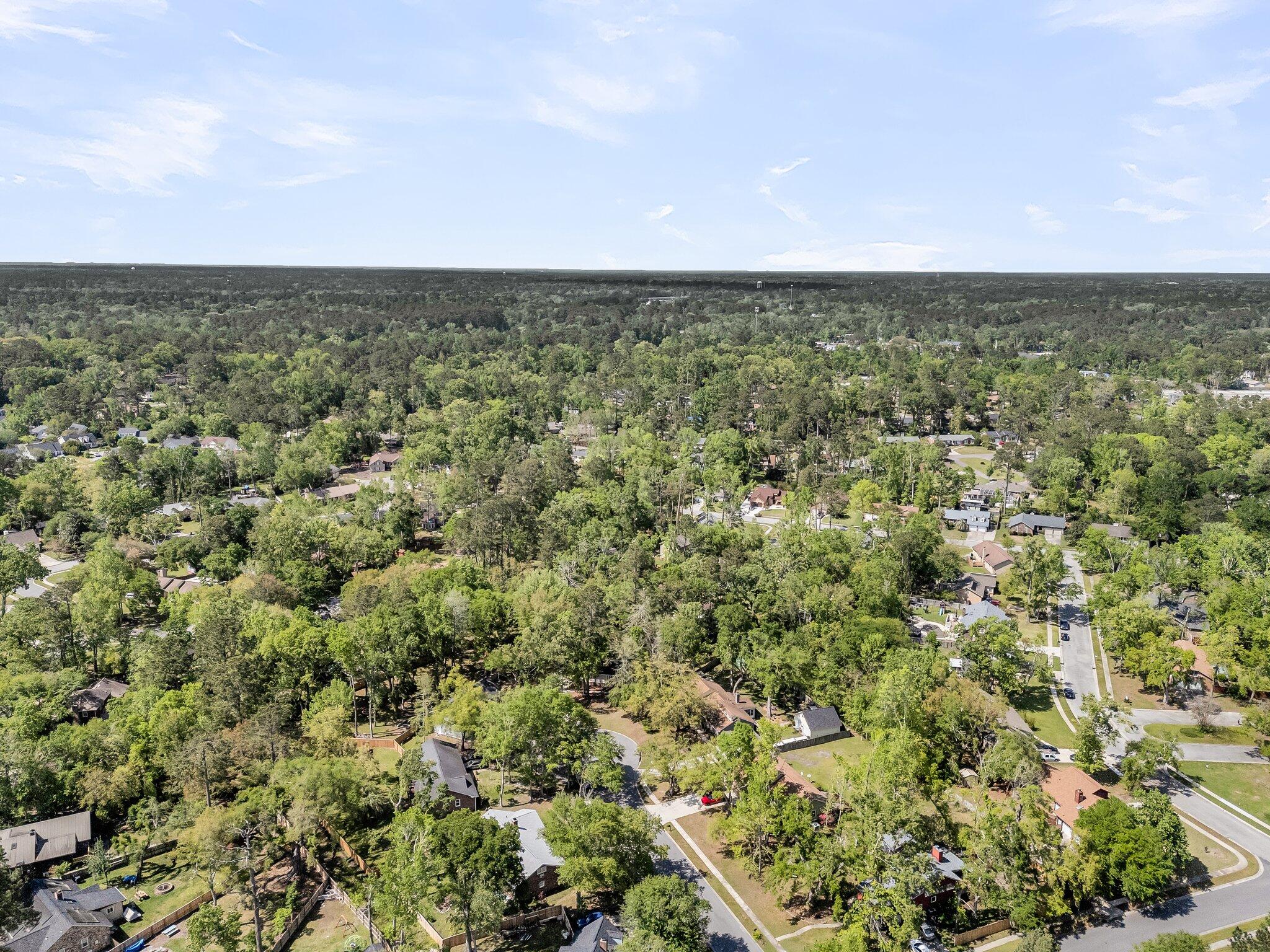 106 Spring Farm Place Summerville, SC 29485 - Photo 45 of 45 CREM - 106 Spring Farm Pl-49