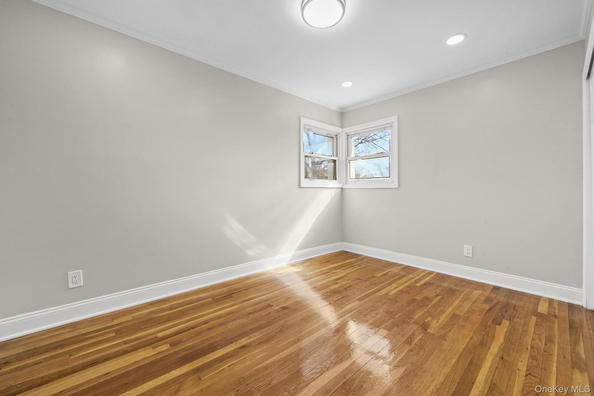 2243 Leighton Road Elmont, NY 11003 - Photo 29 of 32