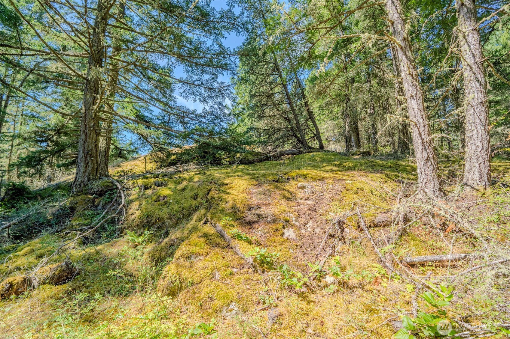 678 Swan Road Orcas Island, WA 98245 - Photo 33 of 39