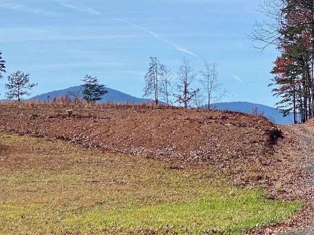 Howardsville Turnpike Stuarts Draft, VA 24477 - Photo 5 of 13 a view of a backyard of the house