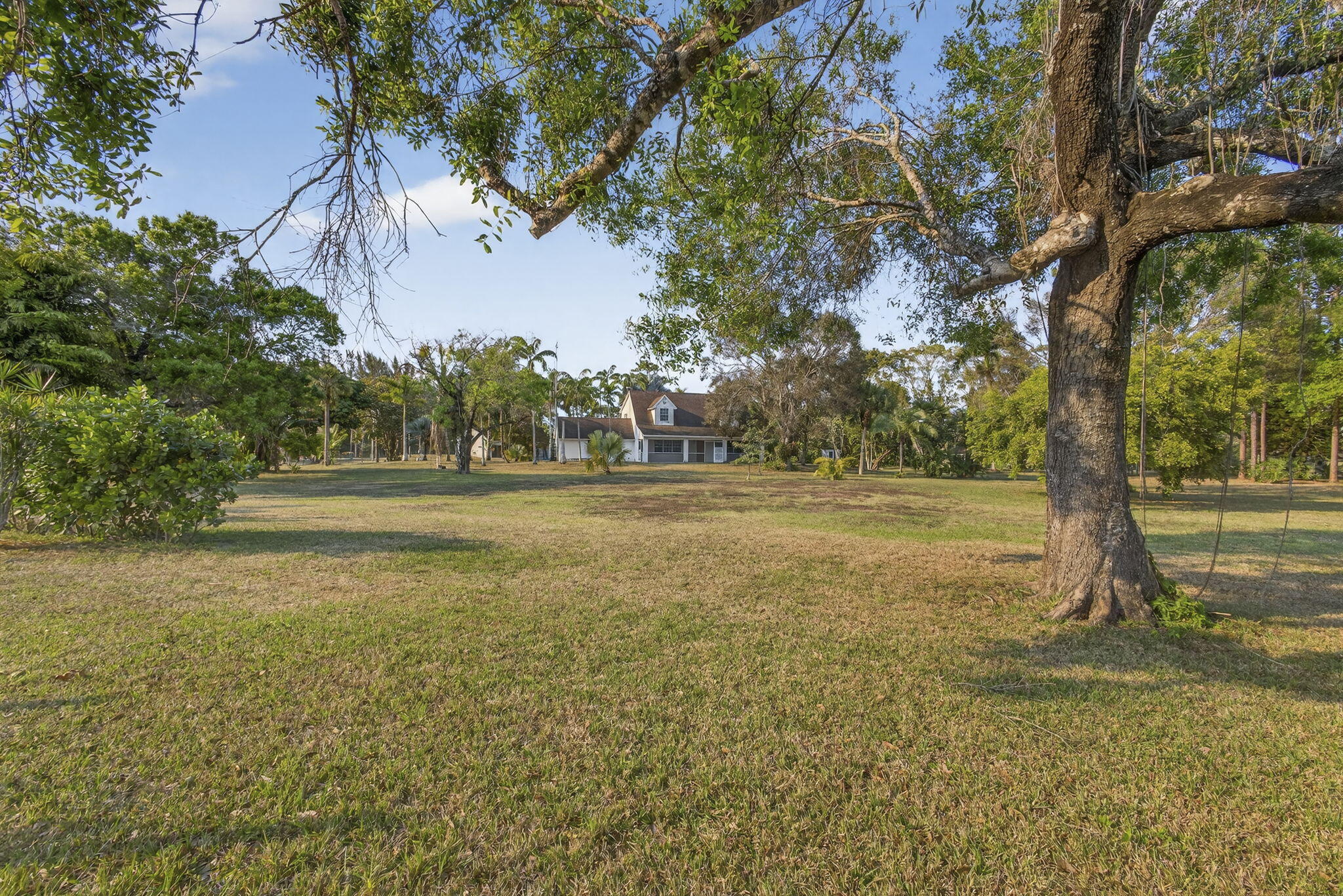 14685 40th Street North Loxahatchee Groves, FL 33470 - Photo 61 of 63 a view of a yard with a tree