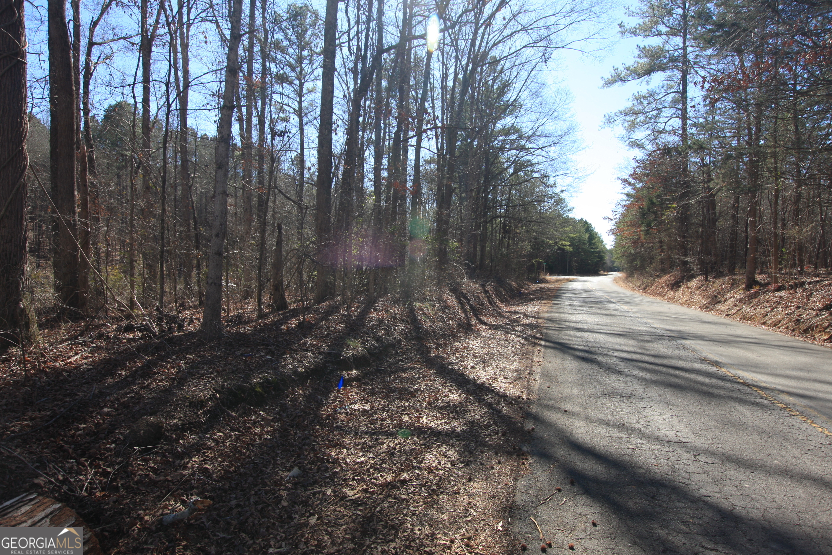 0 Berwin Road Rome, GA 30161 - Photo 3 of 6 a view of backyard with green space