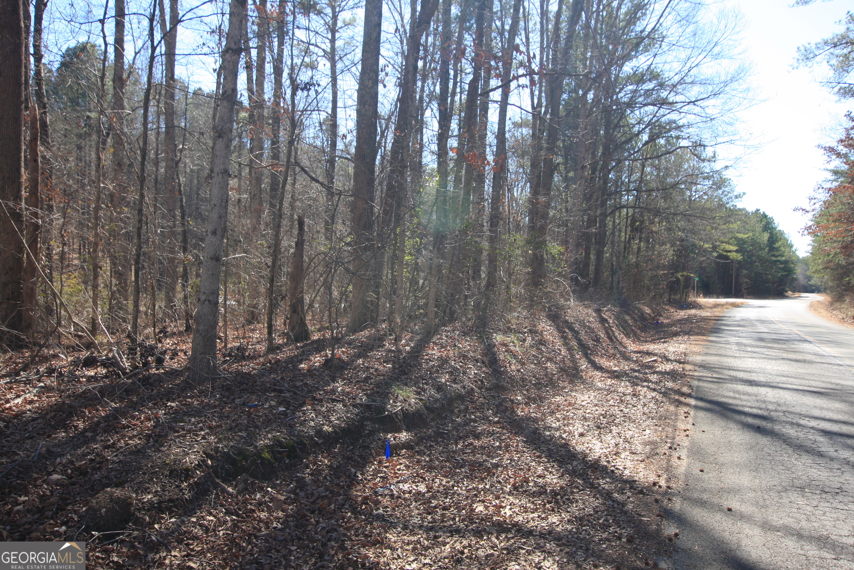 0 Berwin Road Rome, GA 30161 - Photo 4 of 6 a view of backyard with green space