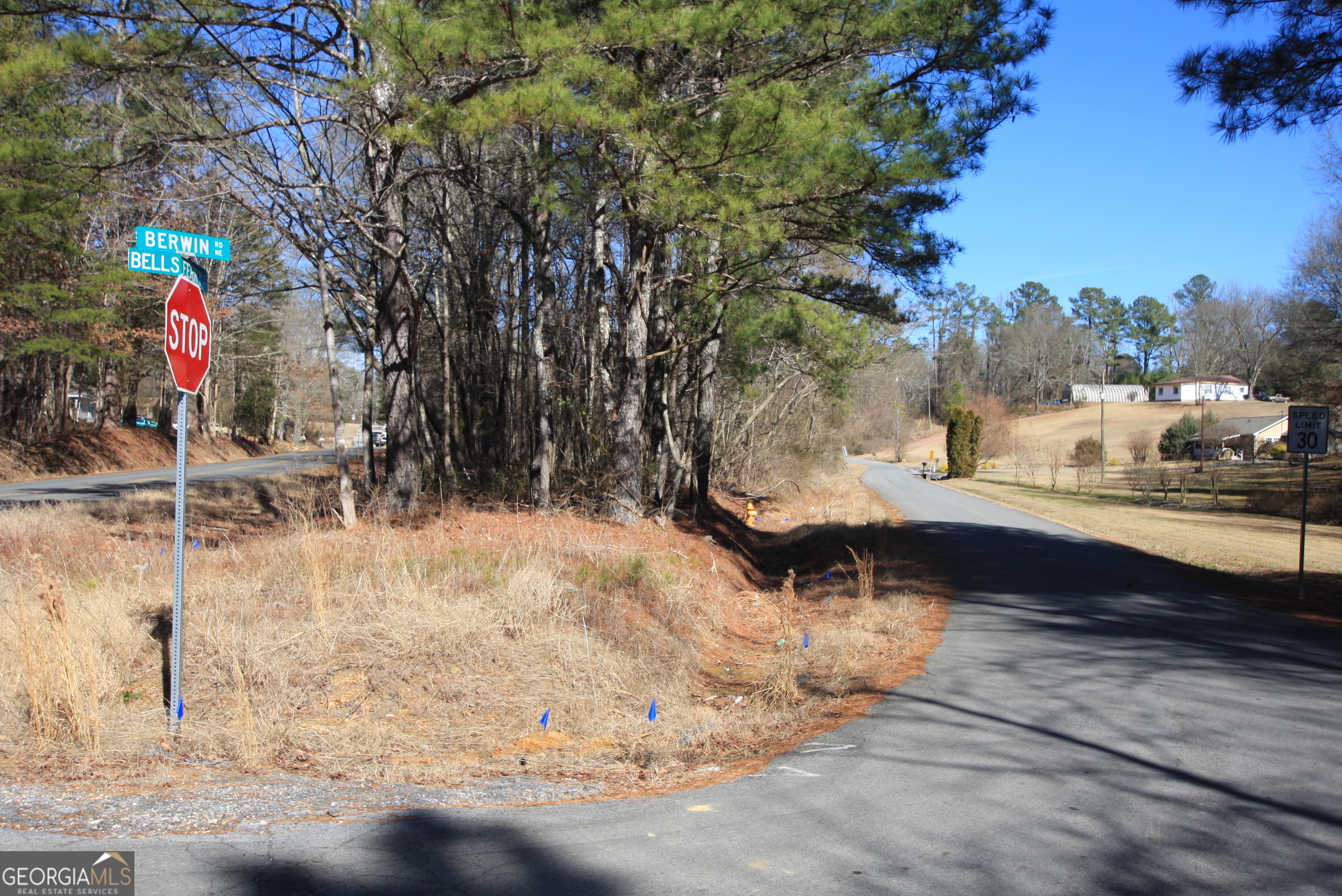 0 Berwin Road Rome, GA 30161 - Photo 5 of 6 a view of a pathway of a house