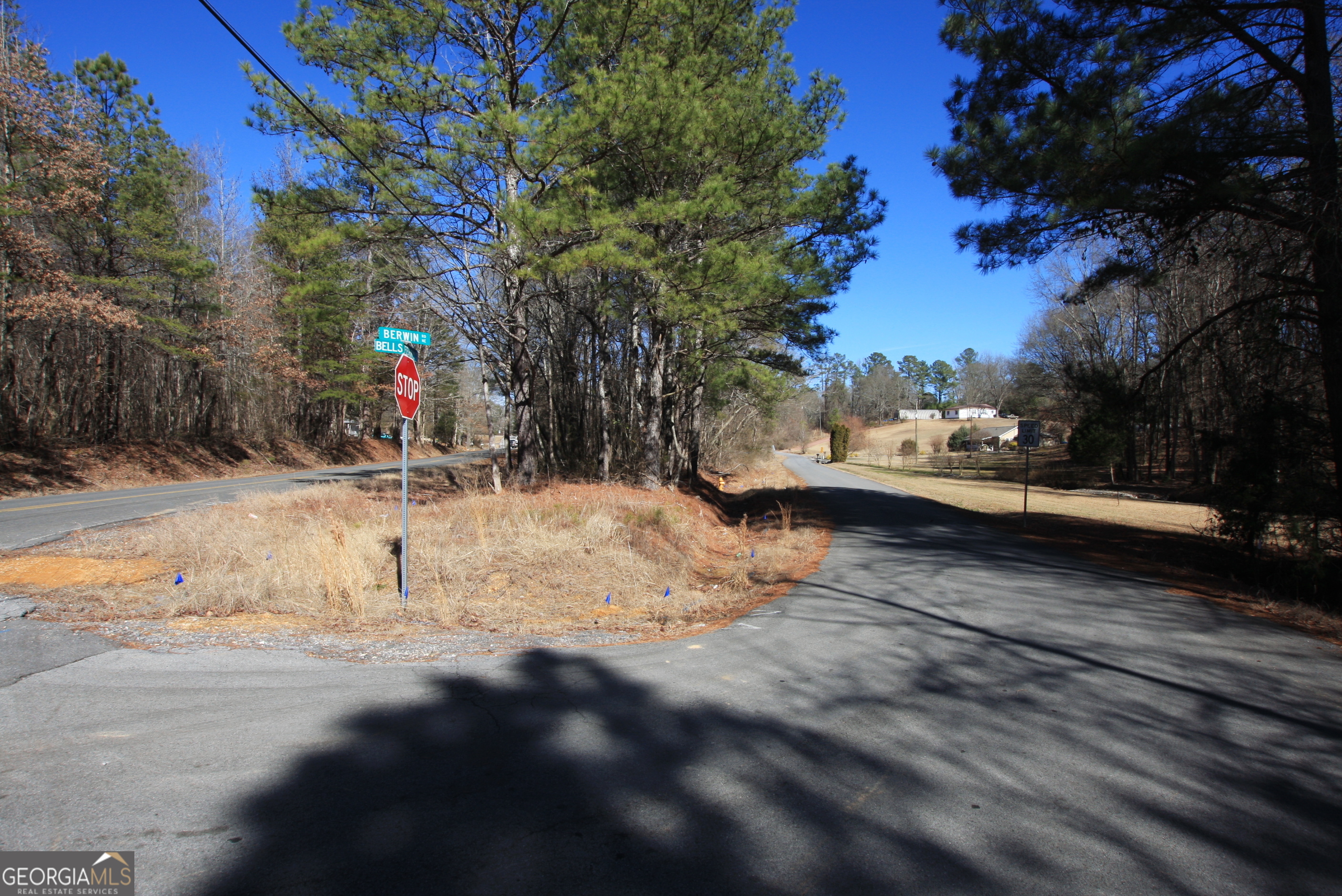 0 Berwin Road Rome, GA 30161 - Photo 6 of 6 a view of street with trees