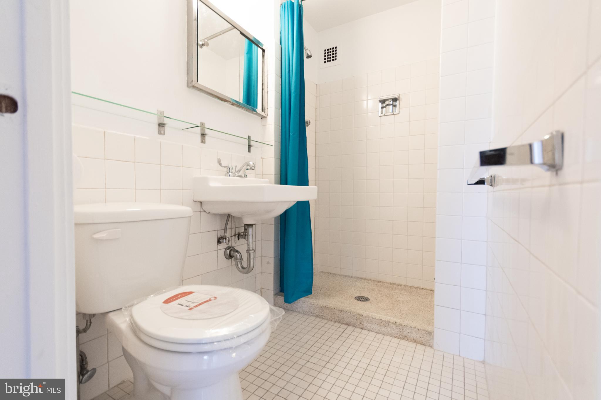 1301 Delaware Avenue Southwest, Unit N512 Washington, DC 20024 - Photo 18 of 28 first bathroom with shower