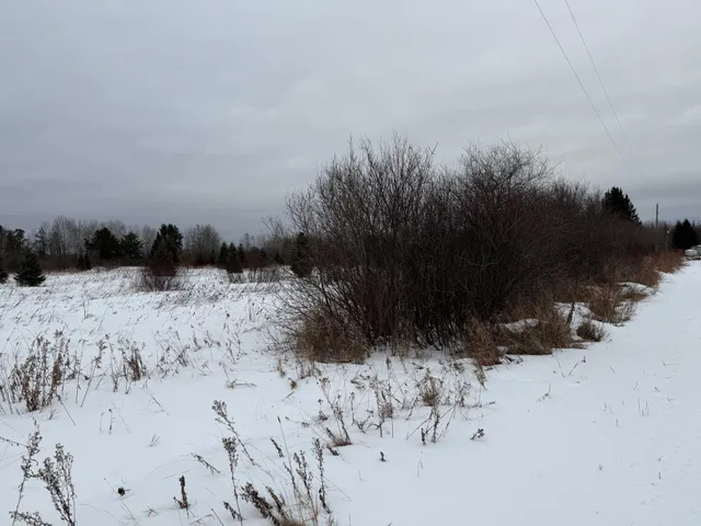 $175,000 | 41126 Highway 65, Nashwauk, MN 55769