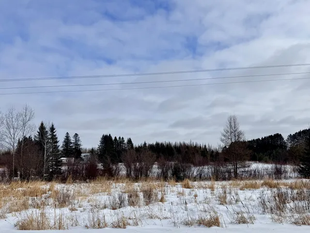 $175,000 | 41126 Highway 65, Nashwauk, MN 55769