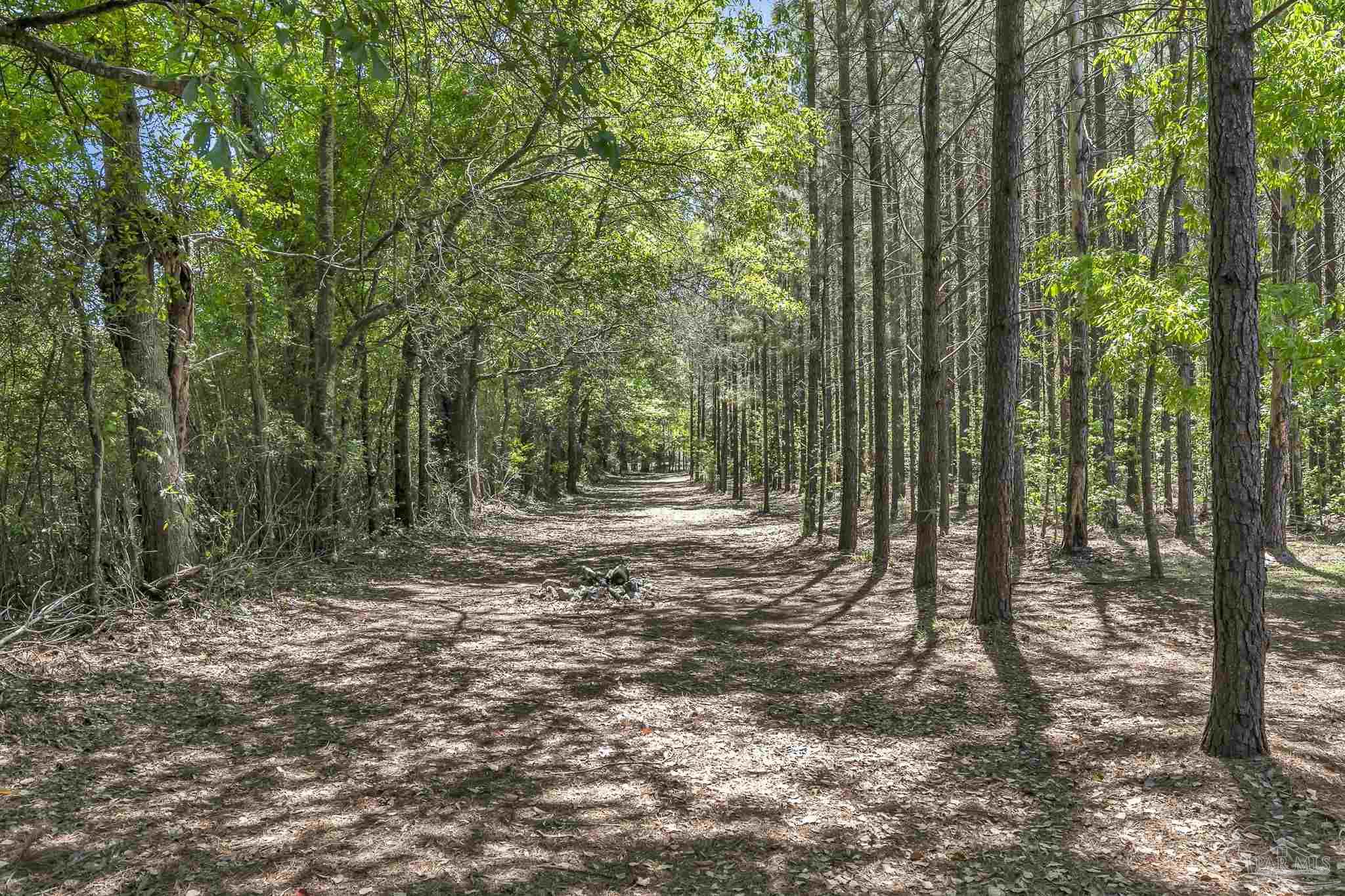 2871 South Palmers Road Uriah, AL 36480 - Photo 56 of 67 Gallery Image 56
