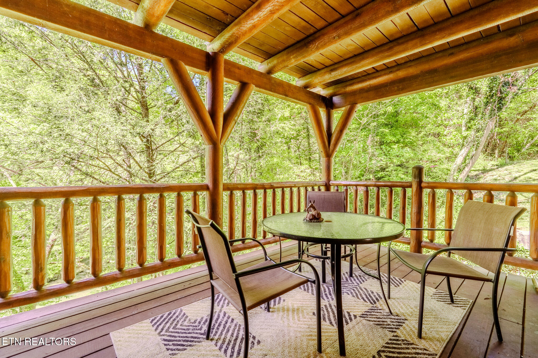 3127 Smoky Ridge Way Sevierville, TN 37862 - Photo 17 of 40 IMG_0945