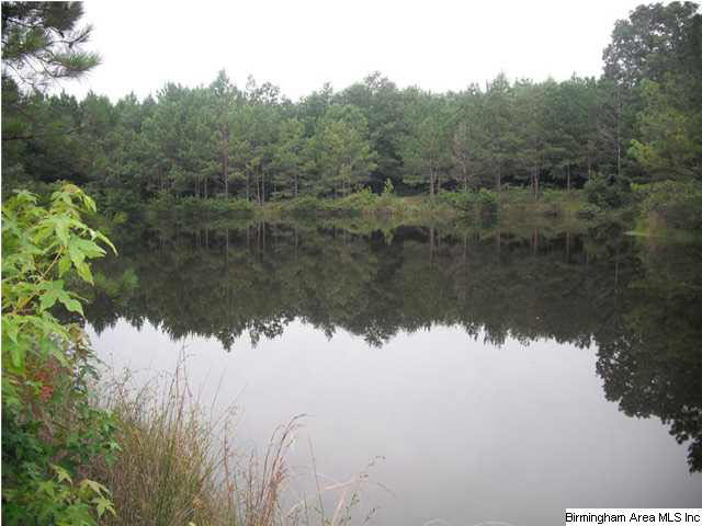 Sardis Road, Unit 1 Lineville, AL 36266 - Photo 1 of 22