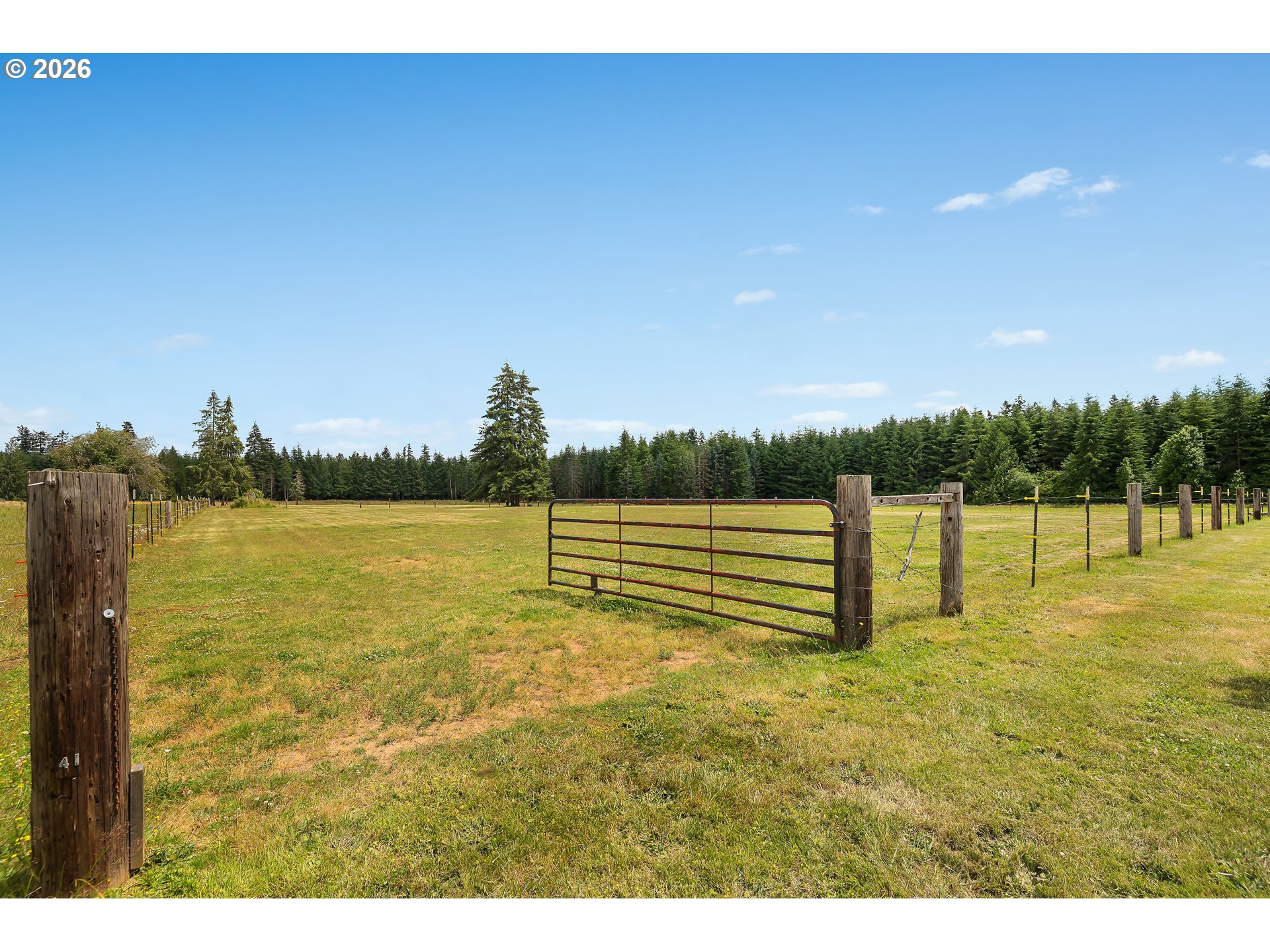 241 Minkler Road Winlock, WA 98596 - Photo 43 of 48 Pasture