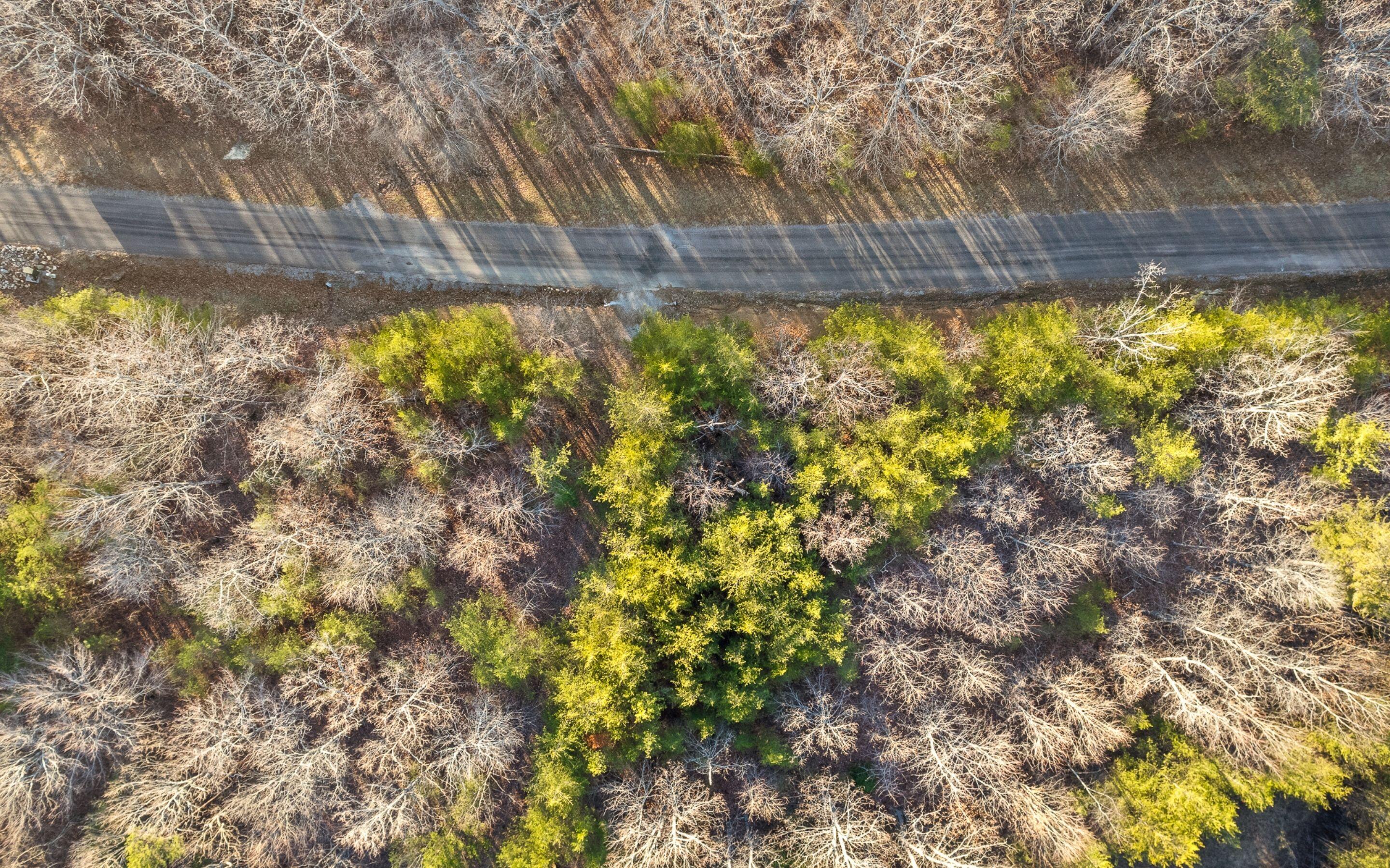 Lot 13 Greenfields Way Dunlap, TN 37327 - Photo 7 of 16 Aerial of Propety