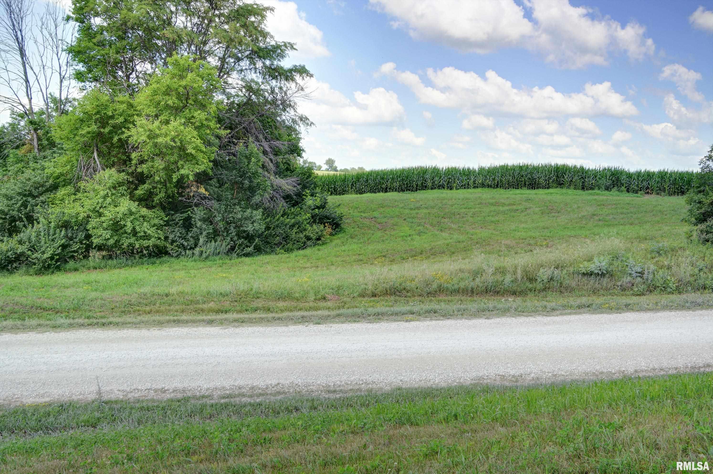 1211 Kramer Road Avon, IL 61415 - Photo 37 of 39