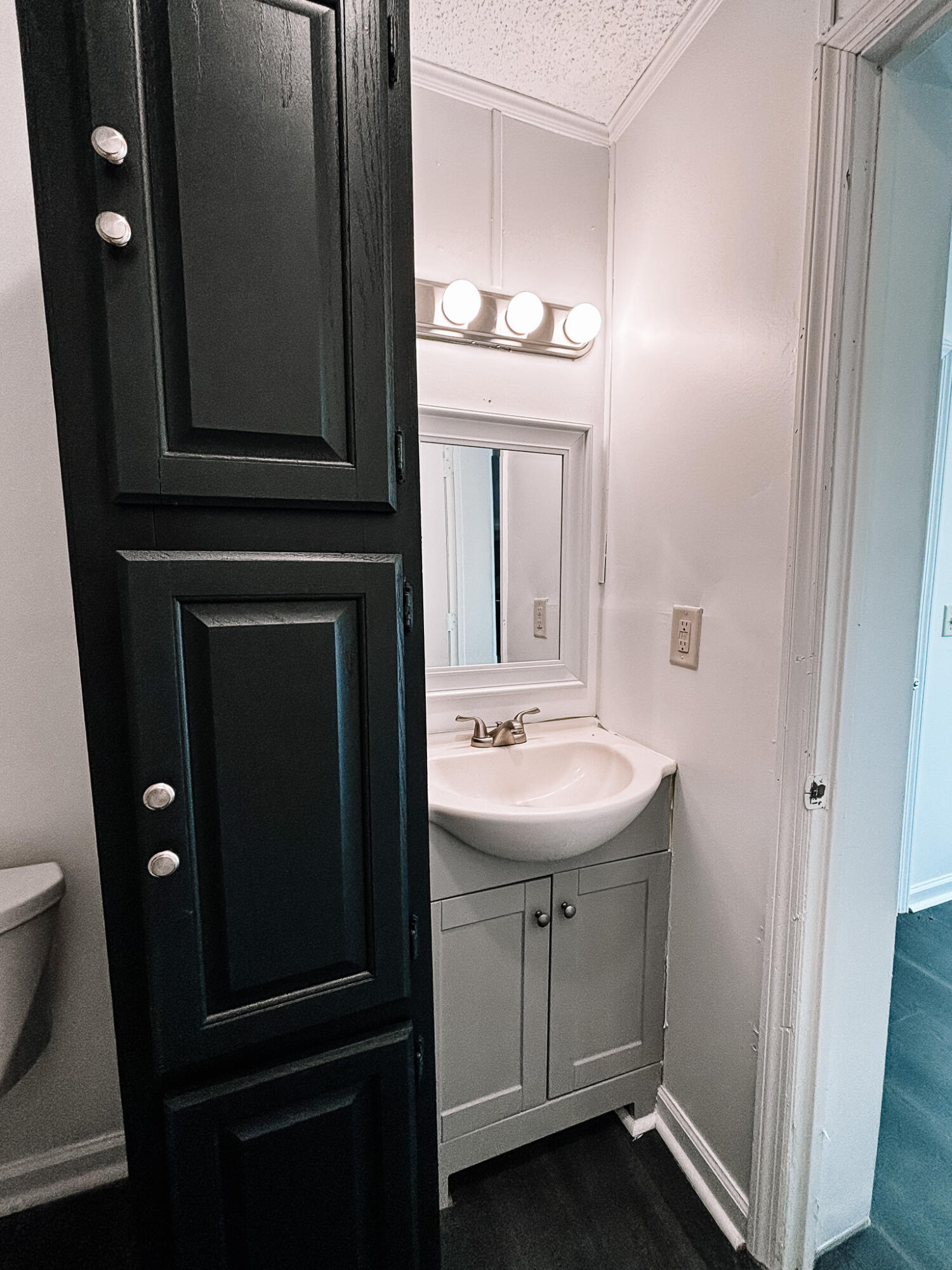 1030 Greenhill Road Charleston, SC 29412 - Photo 6 of 39 IMG_3416