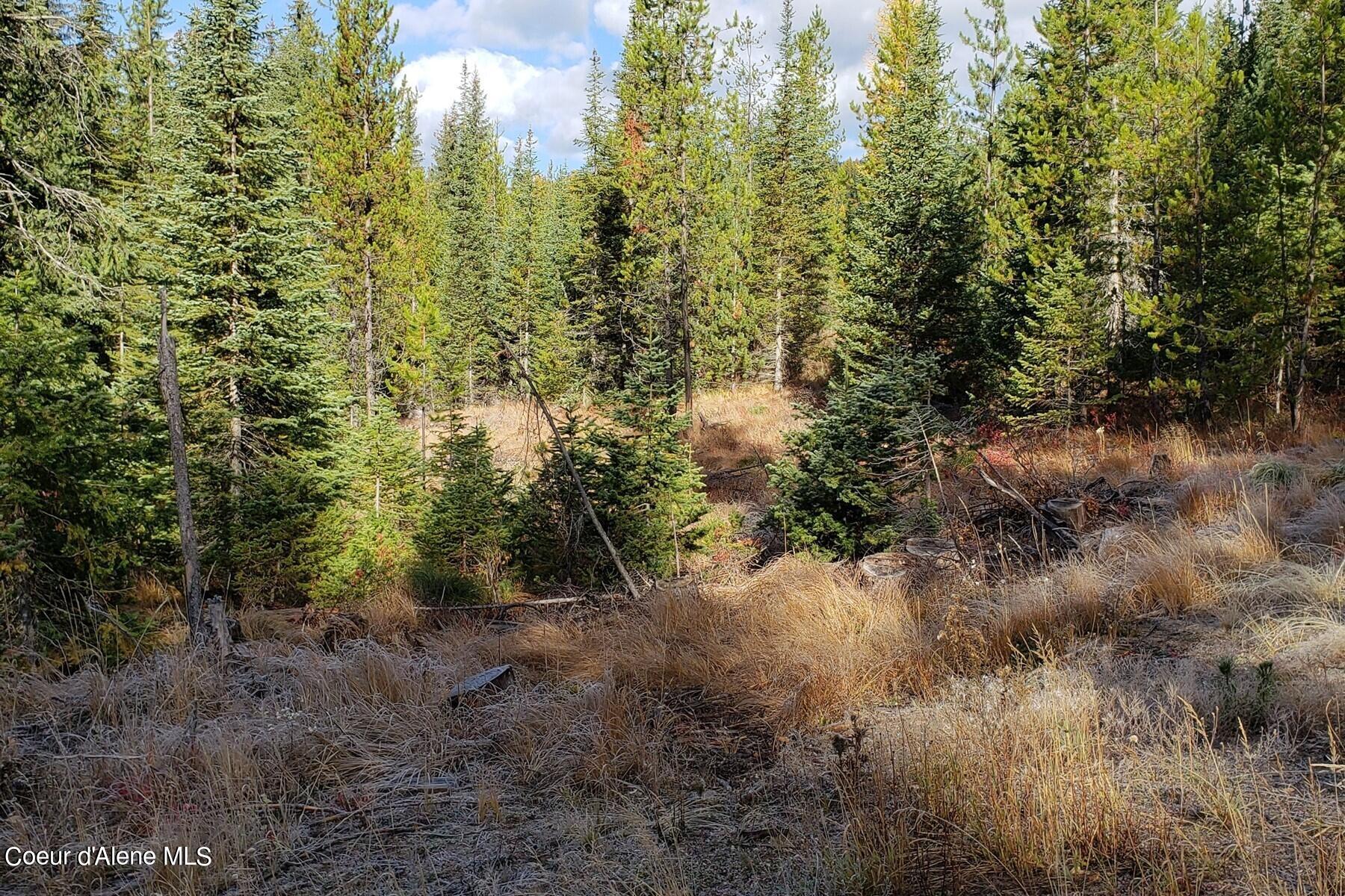 114 A Packer Creek Road Haugen, MT 59842 - Photo 4 of 13 4