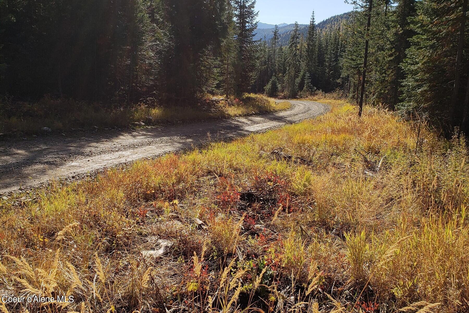 114 A Packer Creek Road Haugen, MT 59842 - Photo 6 of 13 6