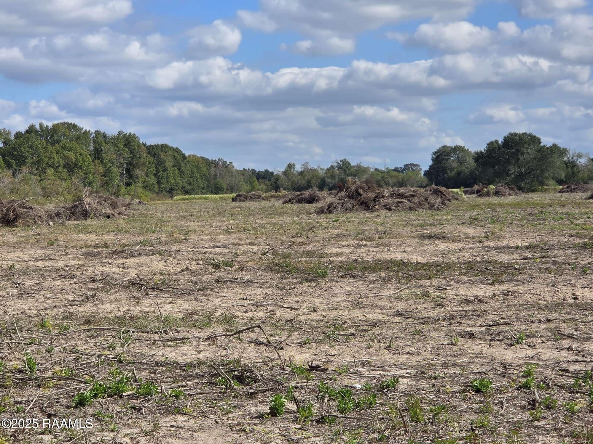 Tbd Rue Novembre Scott, LA 70583 - Photo 5 of 7 Compress_20251105_155036_6187